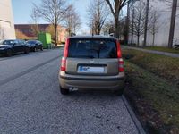 Używany Fiat Panda 69 KM (50 kW) 2011 Złoty Hatchback