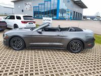 Gebraucht Ford Mustang 314 PS (230 kW) 2018 Grau Cabrio
