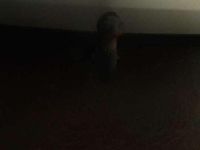 Gebraucht VW Golf IV Ocean 116 PS (85 kW) 2004 Grau Kombi