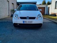 Gebraucht VW Lupo 50 PS (36 kW) 2004 Weiß Kleinwagen