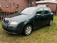 Gebraucht Skoda Fabia 54 PS (39 kW) 2007 Grün Kleinwagen