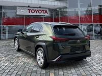 Gebraucht Lexus UX 250h 184 PS (135 kW) 2023 Terrane khaki SUV