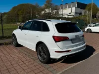 Gebraucht Audi Q5 S-Line 245 PS (180 kW) 2014 Weiß SUV