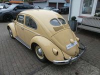 gebraucht VW Käfer aus Brasilien mit Brezelfenster