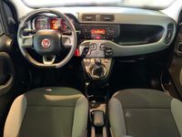 Gebraucht Fiat Panda 2016 Kleinwagen