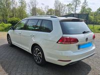 Gebraucht VW Golf VII 116 PS (85 kW) 2019 Weiß Kombi