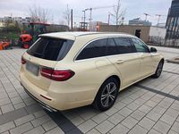 Gebraucht Mercedes E220 200 PS (147 kW) 2023 Gelb Kombi