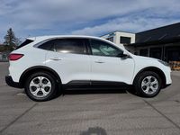 Gebraucht Ford Kuga Titanium 190 PS (139 kW) 2020 Weiß SUV