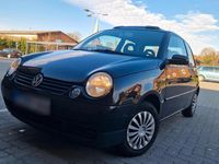 Gebraucht VW Lupo 60 PS (44 kW) 2004 Schwarz Kleinwagen