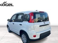 Gebraucht Fiat Panda 70 PS (51 kW) 2024 Weiß (gelato weiss) Kleinwagen