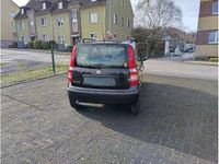 Gebraucht Fiat Panda Dynamic 60 PS (44 kW) 2009 Carbon schwarz Kleinwagen