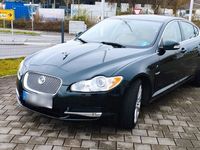 gebraucht Jaguar XF 4.2 L V8 Premium Luxury Premium Luxury