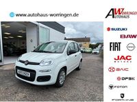 Neu Fiat Panda 69 PS (50 kW) 2025 Weiß Limousine