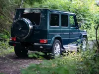 Gebraucht Mercedes G350 211 PS (155 kW) 2011 Grün SUV