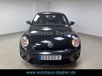 gebraucht VW Beetle Lim. Sport R-Line Aut. Navi Sitzheizung