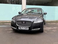 Gebraucht Jaguar XF Portfolio 300 PS (220 kW) 2016 Grau Limousine