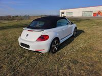 Gebraucht VW Beetle Cabriolet Cup 105 PS (77 kW) 2014 Weiß Cabrio