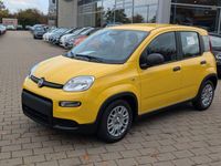 Neu Fiat Panda 69 PS (50 kW) 2025 Gelb Kleinwagen
