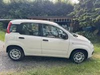 Gebraucht Fiat Panda Easy 69 PS (50 kW) 2017 Beige Kleinwagen