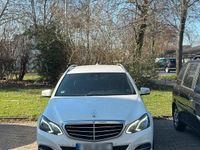 Gebraucht Mercedes E300 231 PS (169 kW) 2014 Weiß Kombi