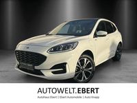 Gebraucht Ford Kuga ST-Line 224 PS (164 kW) 2021 Frostweiß SUV