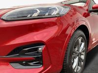Gebraucht Ford Kuga ST-Line 120 PS (88 kW) 2024 Lucid red metallic SUV