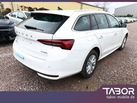 Neu Skoda Octavia Selection 150 PS (110 kW) 2025 Candyweiß Kombi