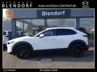 gebraucht Mazda CX-30 Selection 150 Automatik 360°|Bose|MatrixLED