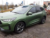 Neu Ford Kuga ST-Line 186 PS (136 kW) 2025 Bursting green SUV