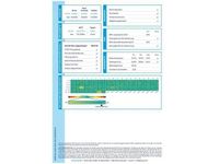 Gebraucht Opel Combo-e Life Edition 100 kW (136 PS) 2022 Van