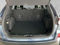 Gebraucht Ford Kuga Titanium X 224 PS (164 kW) 2022 Blau SUV