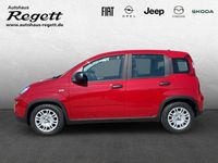 Gebraucht Fiat Panda 69 PS (50 kW) 2024 Weiss) (weiss Kleinwagen