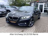 gebraucht BMW 220 d Cabrio M Sport Line LED NAVI LEDER AHK SHZ