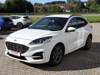 Gebraucht Ford Kuga ST-Line 120 PS (88 kW) 2024 Frotsweiss SUV