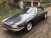 Gebraucht Jaguar XJS 275 PS (202 kW) 1988 Cabrio