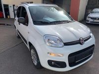 Gebraucht Fiat Panda 69 PS (50 kW) 2020 Weiß Kleinwagen