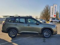 Gebraucht Subaru Forester Trend 136 PS (100 kW) 2025 Autumn green SUV