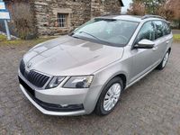 Gebraucht Skoda Octavia Ambition 150 PS (110 kW) 2019 Cappuccinobeige metallic Kombi