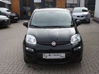 gebraucht Fiat Panda Base Hybrid ** TOP ** 5000km **