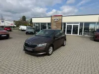 Gebraucht Skoda Fabia Ambition 110 PS (80 kW) 2019 Braun Kleinwagen