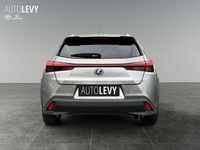 Gebraucht Lexus UX 250h 152 PS (111 kW) 2022 Silber SUV