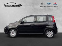 Gebraucht Fiat Panda 69 PS (50 kW) 2023 Schwarz Kleinwagen