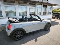 Gebraucht Mini Cooper Cabriolet 136 PS (100 kW) 2020 Moonwalk grey (metallic) Cabrio