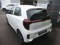 Neu Kia Picanto Vision 63 PS (46 kW) 2025 Weiß Kleinwagen