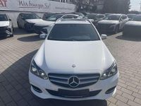 Gebraucht Mercedes E250 204 PS (150 kW) 2014 Weiß Kombi