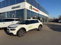 Gebraucht Citroën C4 Cactus Feel 110 PS (80 kW) 2020 Polarweiß Kleinwagen