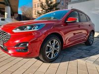 Gebraucht Ford Kuga ST-Line X 150 PS (110 kW) 2021 Rot SUV