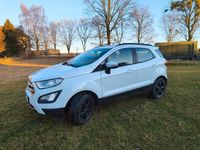 Gebraucht Ford Ecosport Cool & Connect 101 PS (74 kW) 2019 Weiß SUV