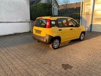 Gebraucht Fiat Panda 69 PS (50 kW) 2014 Gelb Kleinwagen