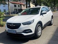 Gebraucht Opel Grandland X Selection 131 PS (96 kW) 2019 Jade weiss/arktis weiss SUV